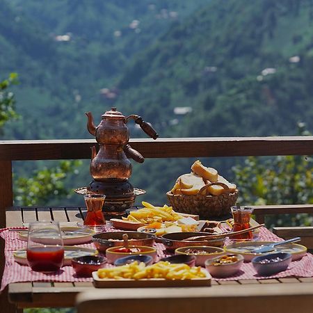 Pathika Bungalov Çamlıhemşin エクステリア 写真