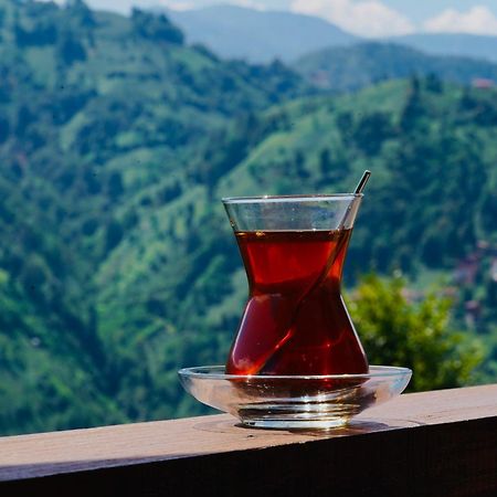 Pathika Bungalov Çamlıhemşin エクステリア 写真